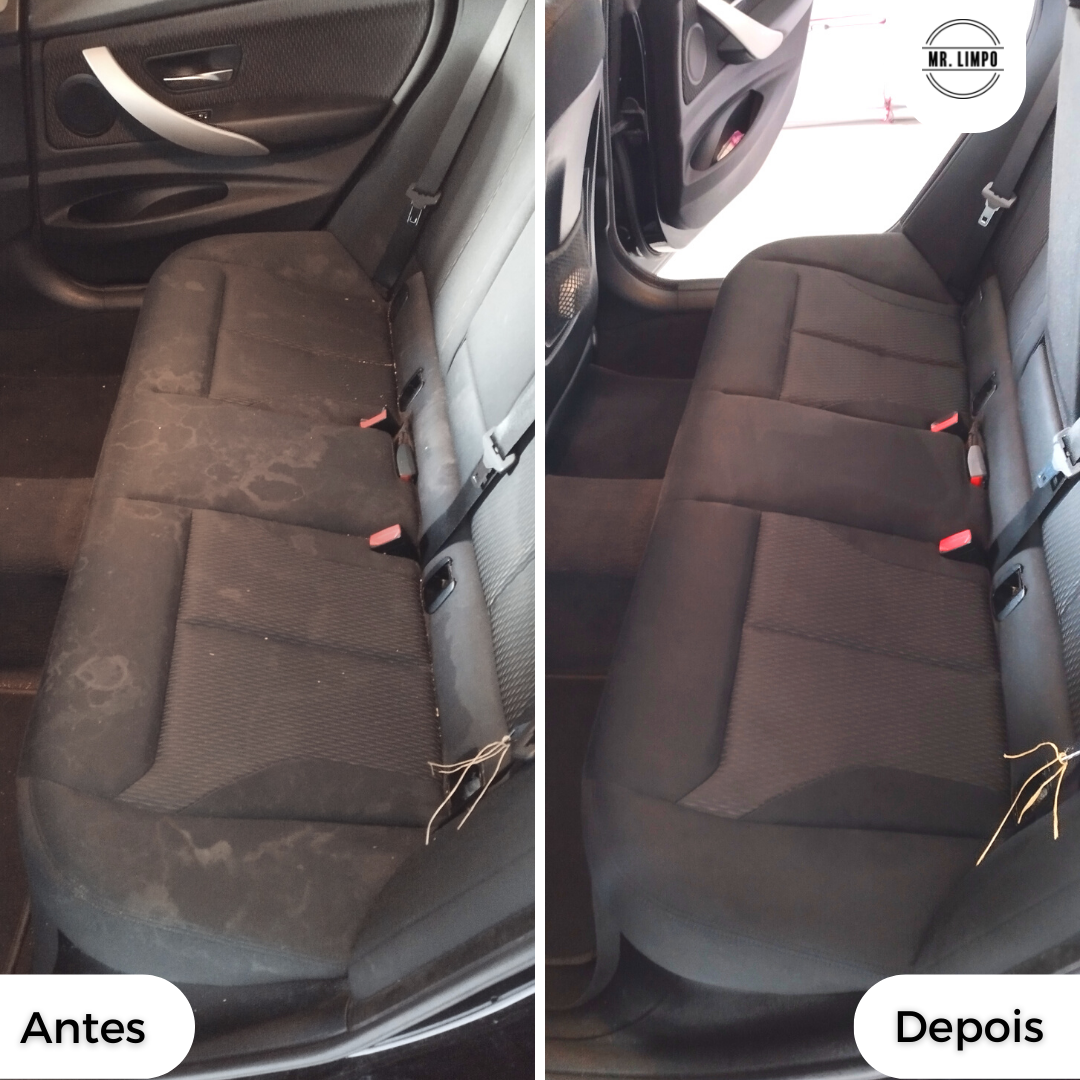 Higienização Profissional Interna do Carro