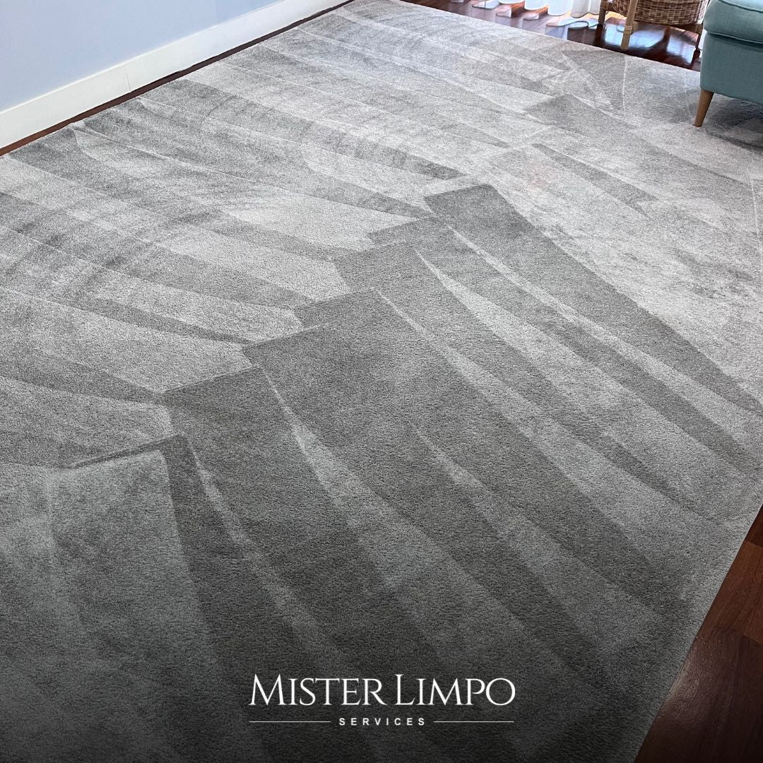 Limpeza de Carpetes e Tapetes ao Domicílio | Mister Limpo Services