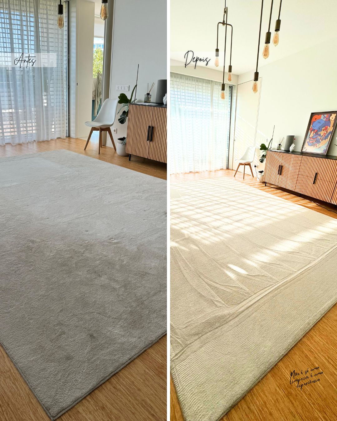 Limpeza de Carpetes e Tapetes ao Domicílio | Mister Limpo Services